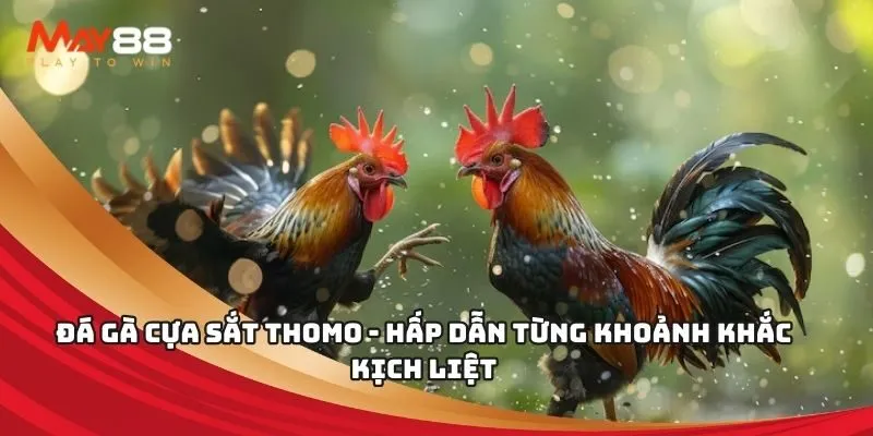 Nhược điểm của các kênh cá cược cấp 123Bet - 123Bet