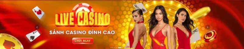 Hiện nay, Sân chọi gà Tomo đã phát triển thành một sân chọi gà hiện đại đạt tiêu chuẩn 7M - 7M