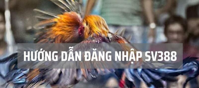 Một số tính năng của Wibo88 Online - Wibo88