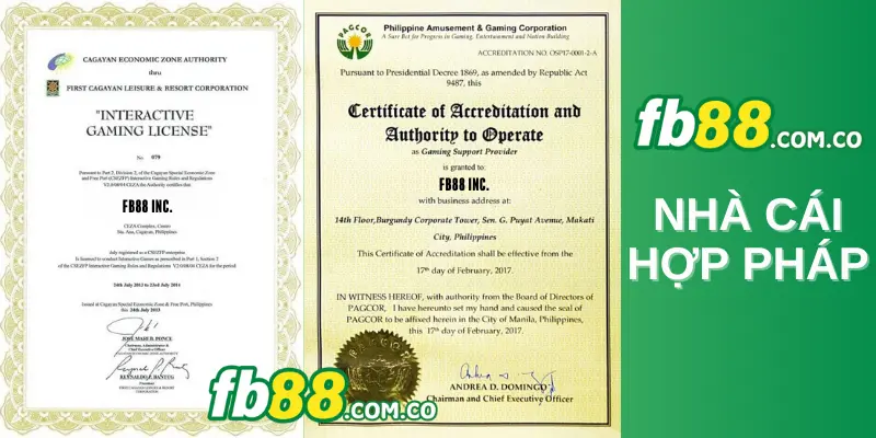 Vui lòng lưu ý những điểm sau trước khi đăng ký tham gia Vinbet - Vinbet
