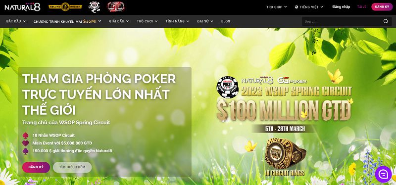 Sức hấp dẫn của các trò chơi bài cấp Melbet - Melbet