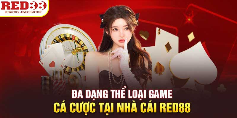 Một số câu hỏi thường gặp khi tham gia trải nghiệm Cmd368 - Cmd368