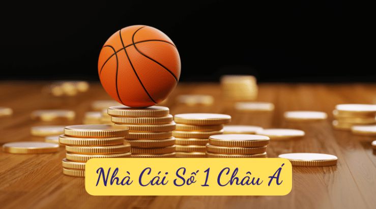 Dịch vụ hỗ trợ dành cho người chơi cấp 66Vn - 66Vn