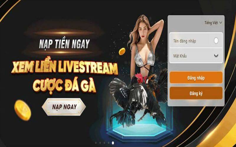 Tất cả thành viên Open88 đều được hưởng giảm giá 1% mỗi ngày - Open88