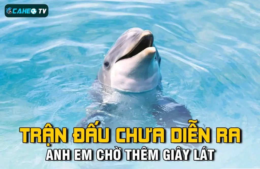 Quy trình nạp/rút tiền của Bay789 rất đơn giản - Bay789